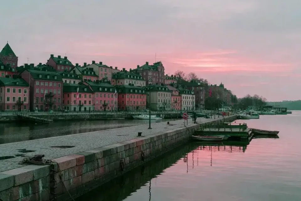 Flora mushroom foraging